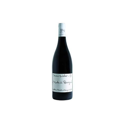 St Nicolas de Bourgueil AOP 2023 - 375 ml