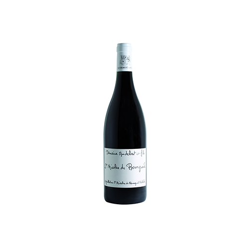 St Nicolas de Bourgueil  AOP 2023 - 750 ml