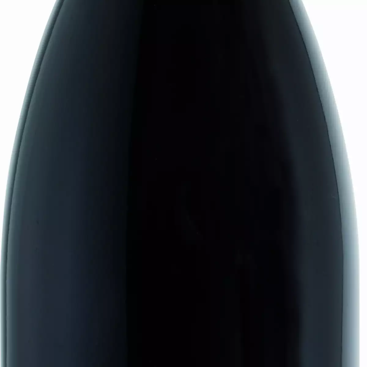 Bourgueil AOP 2022 - 375 ml